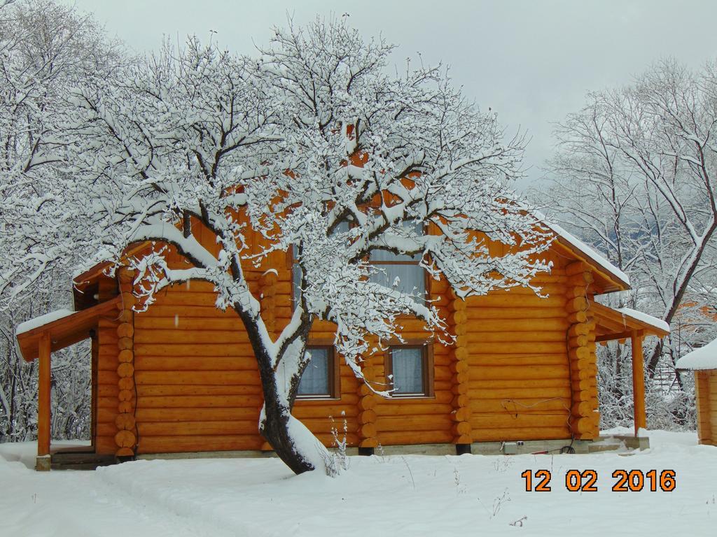 Casutele Din Moisei Hotel Екстериор снимка