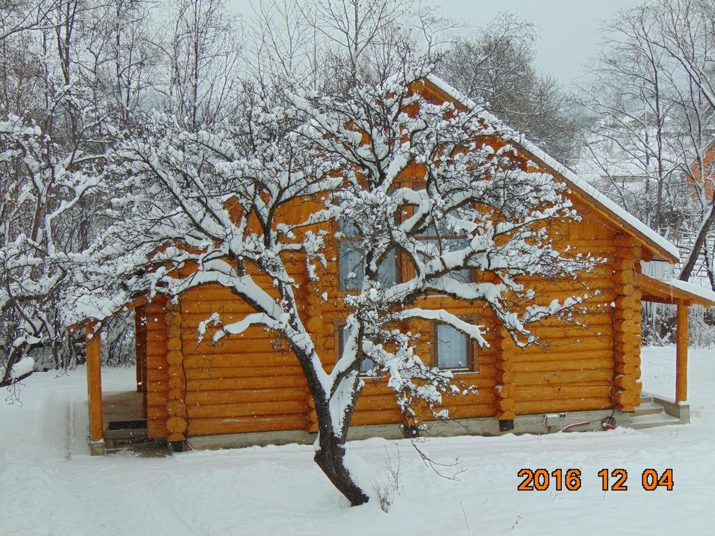 Casutele Din Moisei Hotel Екстериор снимка
