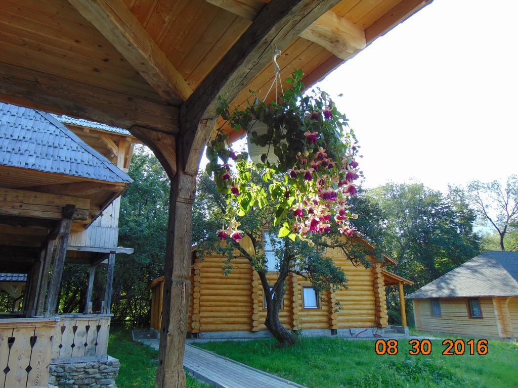 Casutele Din Moisei Hotel Екстериор снимка