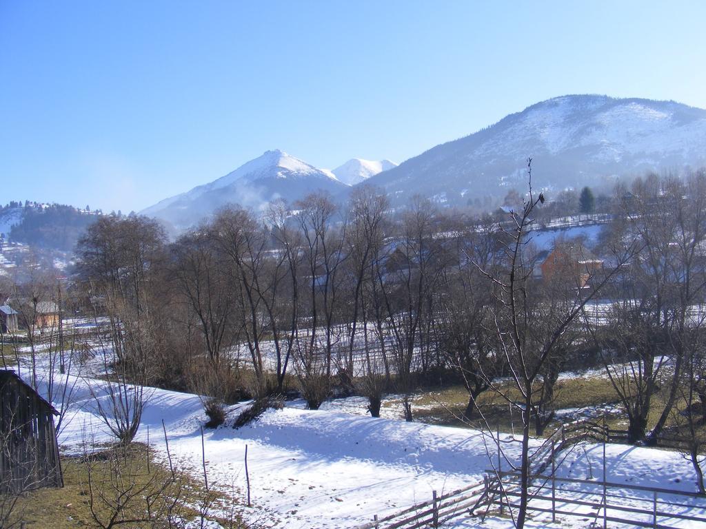 Casutele Din Moisei Hotel Екстериор снимка
