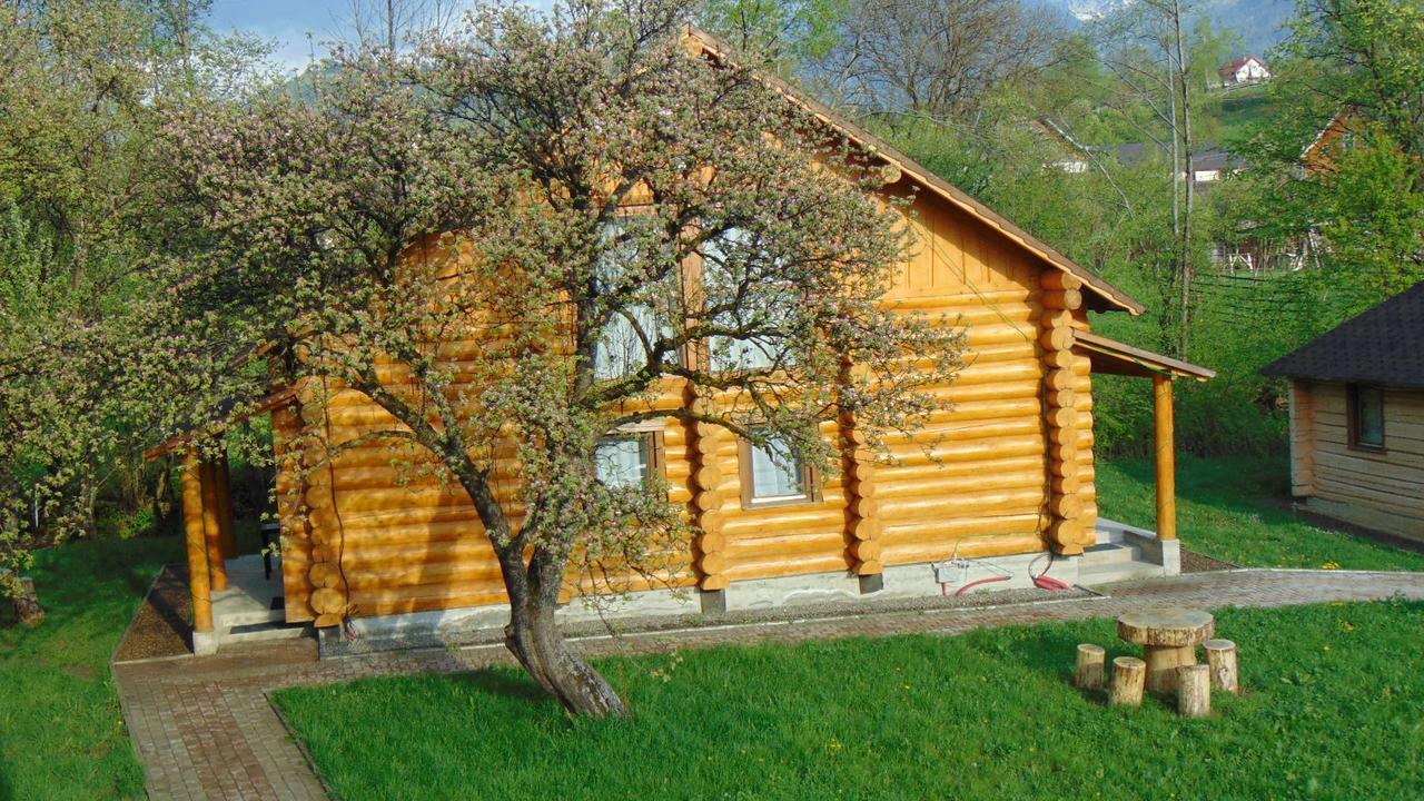 Casutele Din Moisei Hotel Екстериор снимка