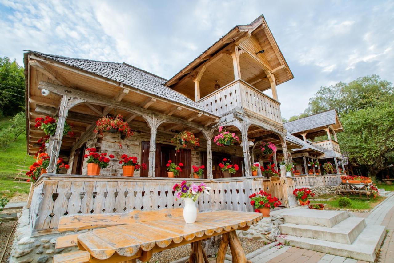 Casutele Din Moisei Hotel Екстериор снимка