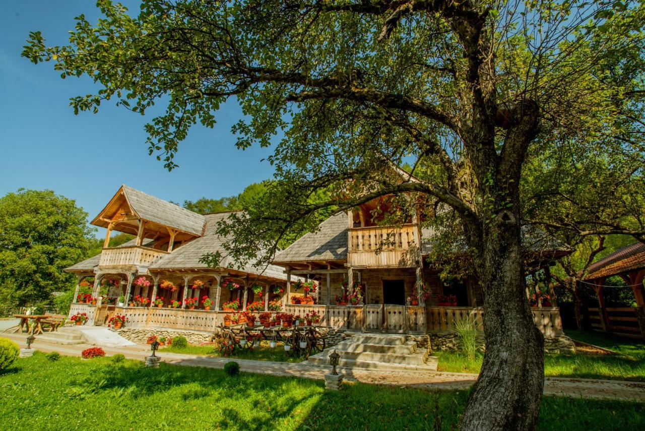 Casutele Din Moisei Hotel Екстериор снимка