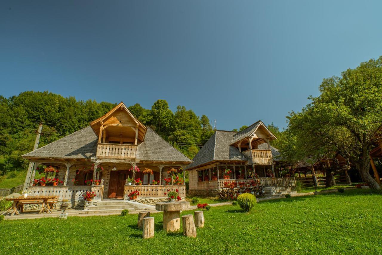 Casutele Din Moisei Hotel Екстериор снимка